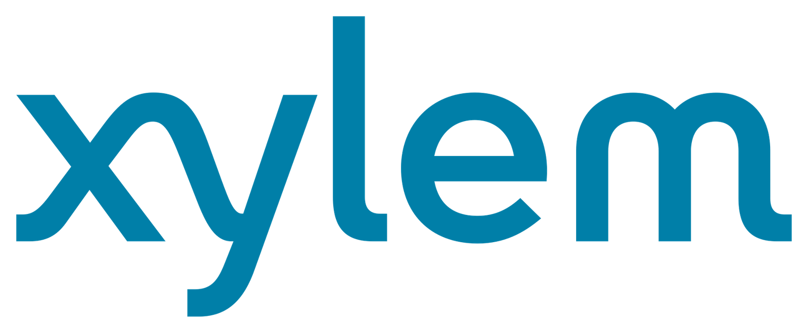 Client 13